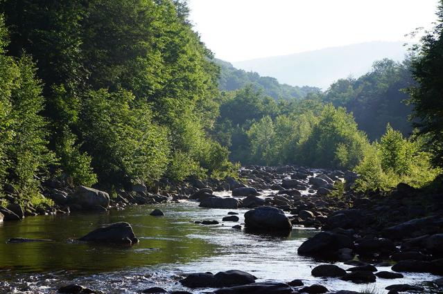 Monongahela National Forest